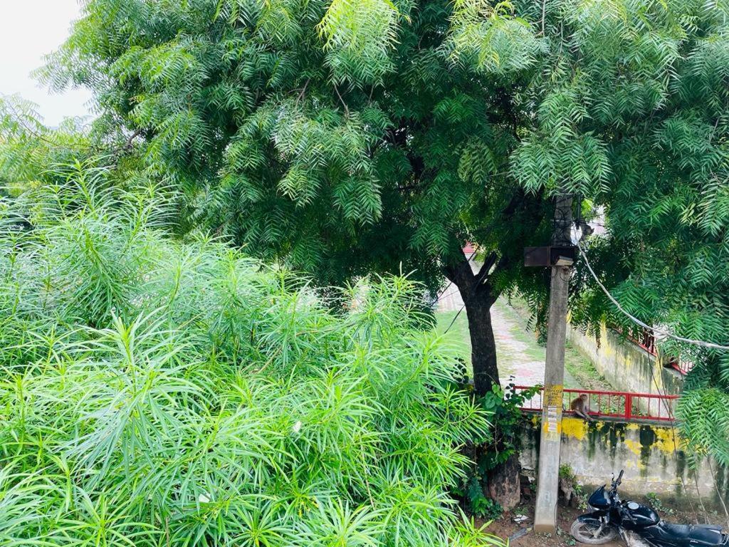Ayodhya Shree Balaji Homestay מראה חיצוני תמונה